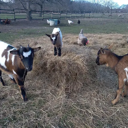 Eco Nature, A La Ferme Апартаменты