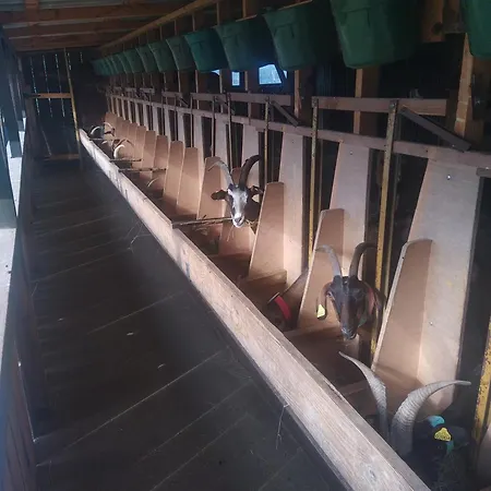 Eco Nature, A La Ferme * Ванде-Монталиве
