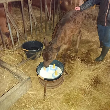 Eco Nature, A La Ferme